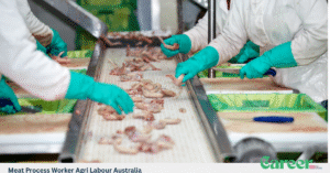Meat Process Worker Agri Labour Australia