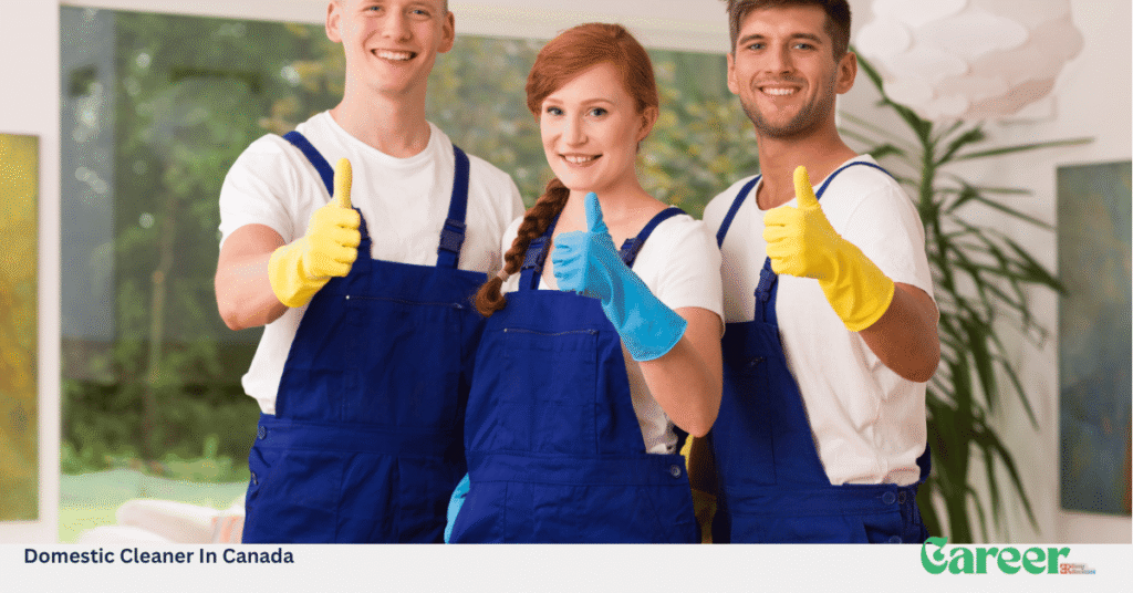 Domestic Cleaner In Canada