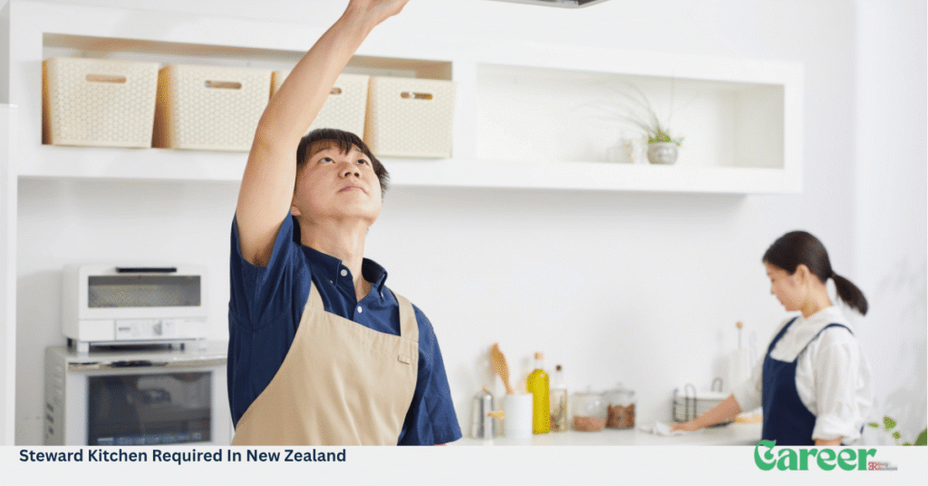Steward Kitchen Required In New Zealand