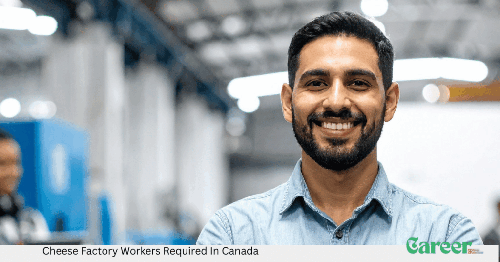 Cheese Factory Workers Required In Canada