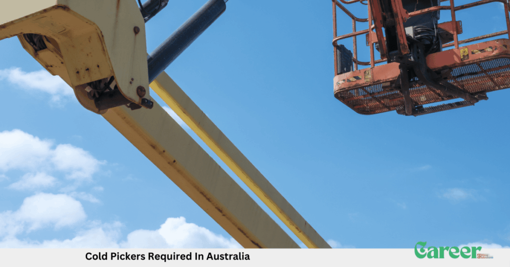 Cold Pickers Required In Australia
