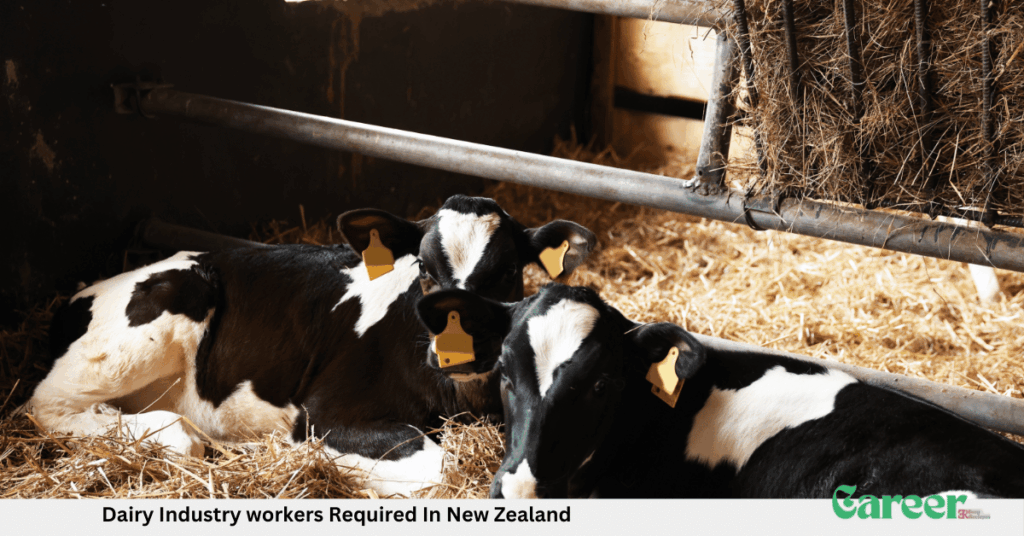 Dairy Industry workers Required In New Zealand