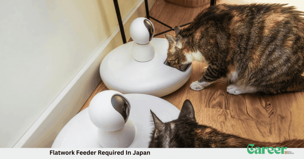 Flatwork Feeder Required In Japan