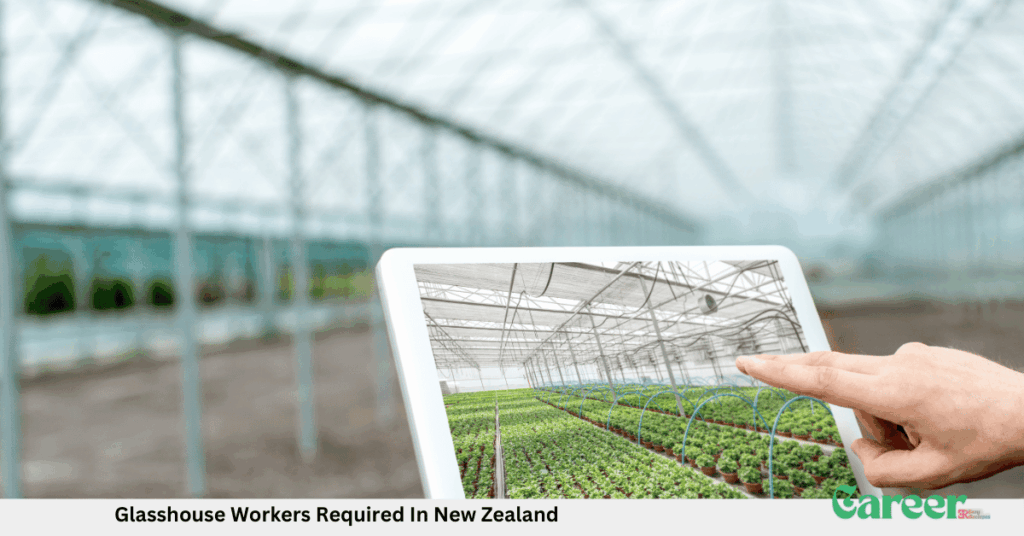 Glasshouse Workers Required In New Zealand