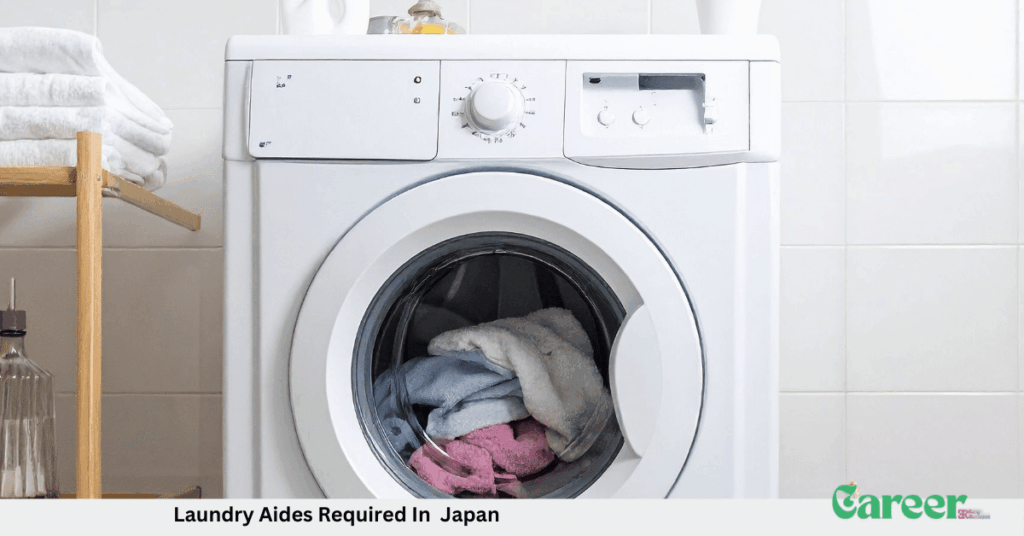 Laundry Aides Required In Japan