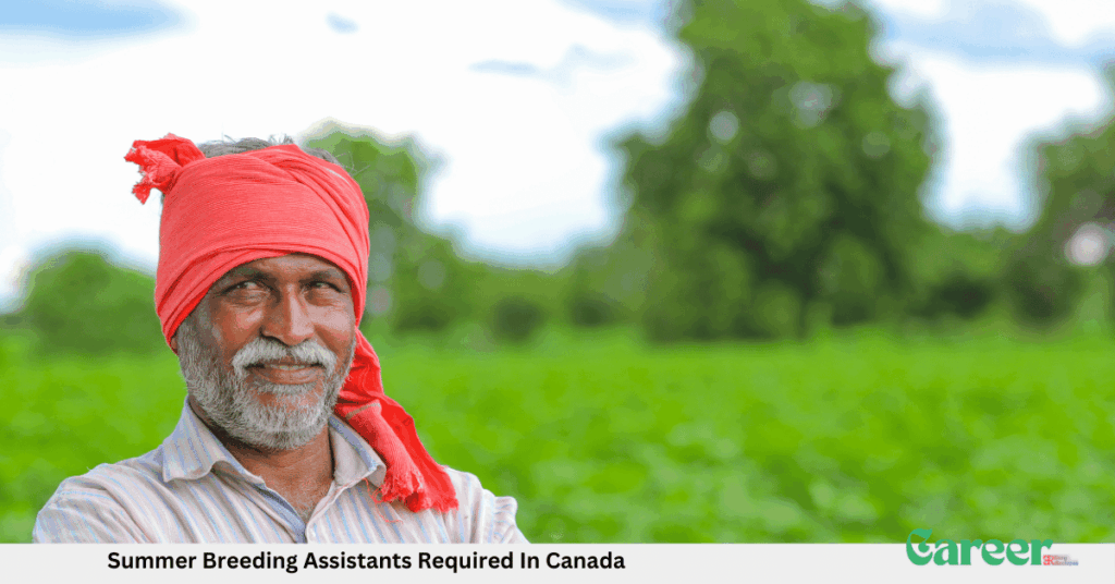 Summer Breeding Assistants Required In Canada