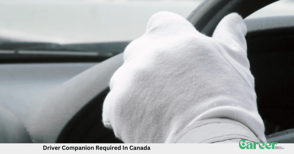 Driver Companion Required In Canada