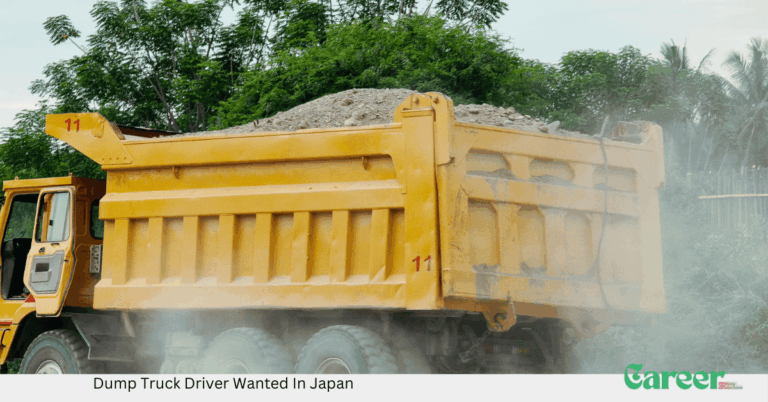 Dump Truck Driver Wanted In Japan