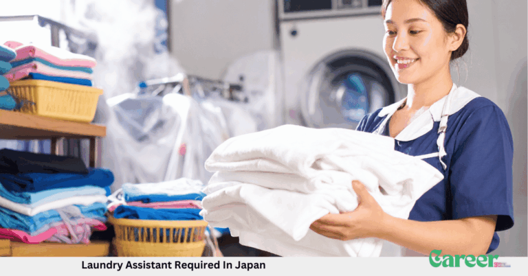 Laundry Assistant Required In Japan