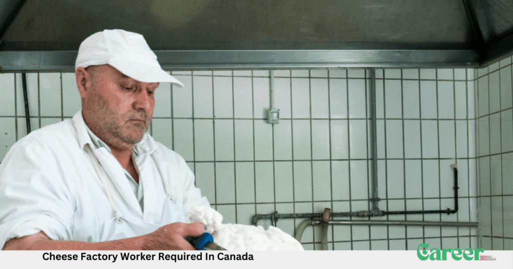 Cheese Factory Worker Required In Canada