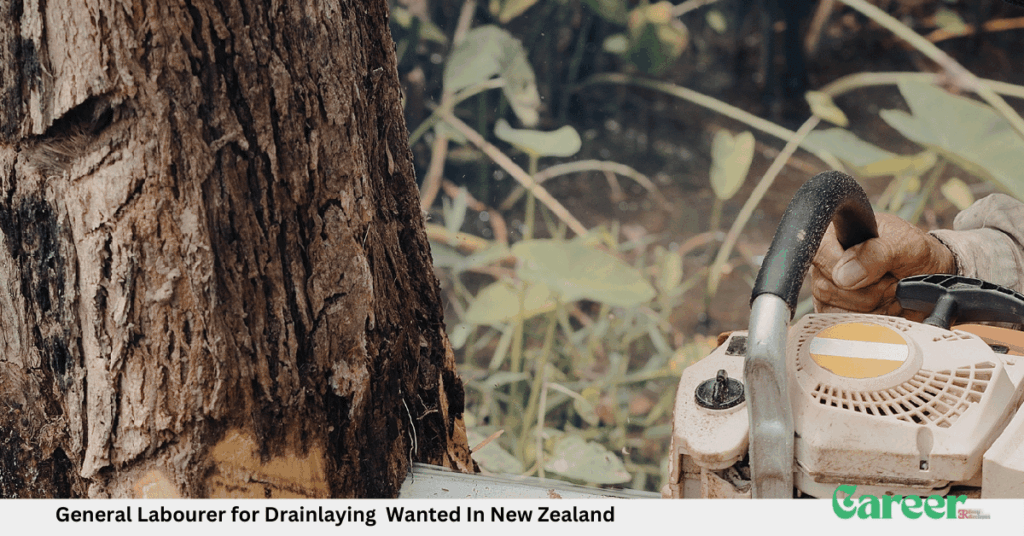 General Labourer for Drainlaying Wanted In New Zealand