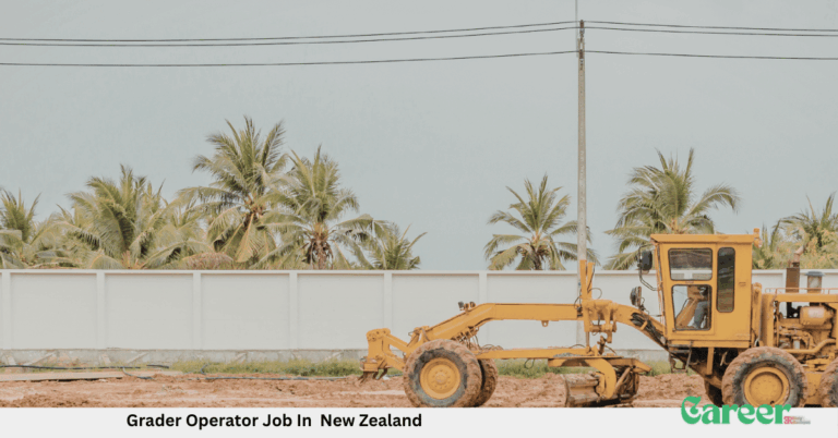 Grader Operator Job In New Zealand