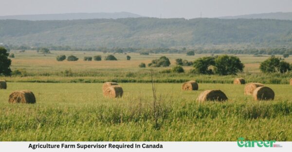Agriculture Farm Supervisor Required In Canada
