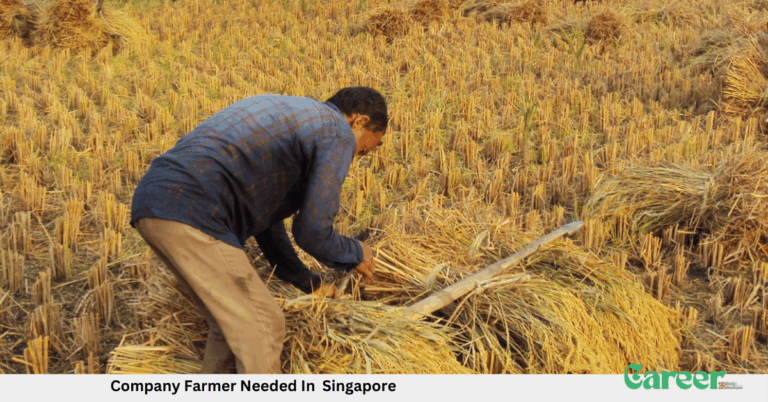 Company Farmer Needed In Singapore