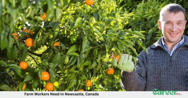 Farm Workers Need In Newcastle, Canada