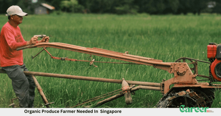 Organic Produce Farmer Needed In Singapore