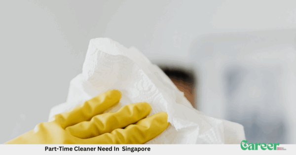 Part-Time Cleaner Need In Singapore