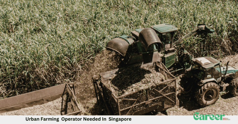 Urban Farming Operator Needed In Singapore