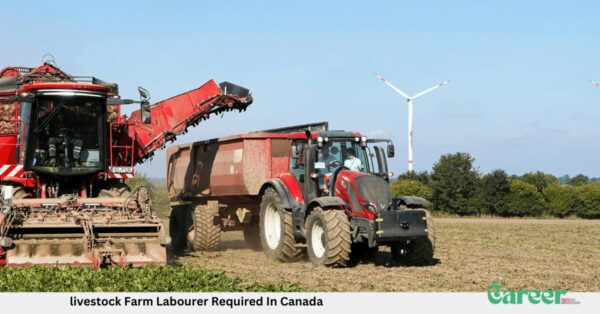livestock Farm Labourer Required In Canada
