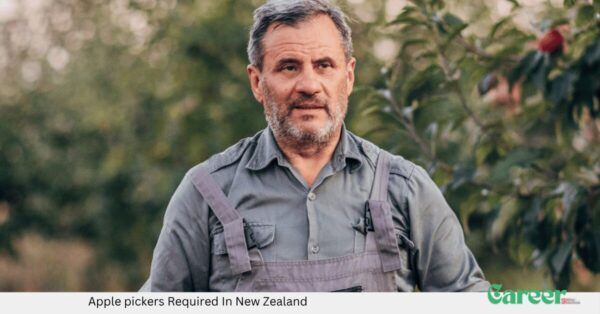 Apple pickers Required In New Zealand