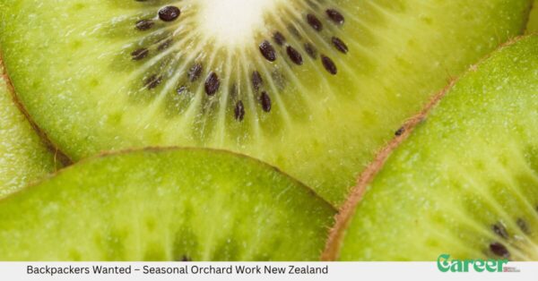 Backpackers Wanted – Seasonal Orchard Work New Zealand