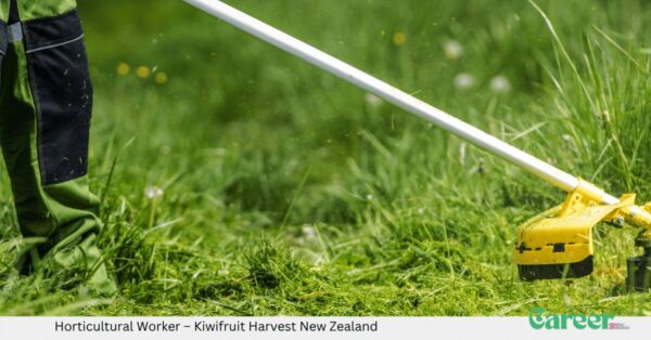 Horticultural Worker – Kiwifruit Harvest New Zealand