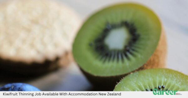 Kiwifruit Thinning Job Available With Accommodation New Zealand